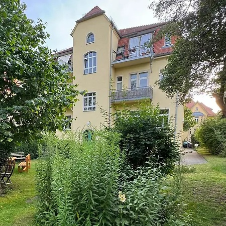 - 3 Zi - Garten Dresde