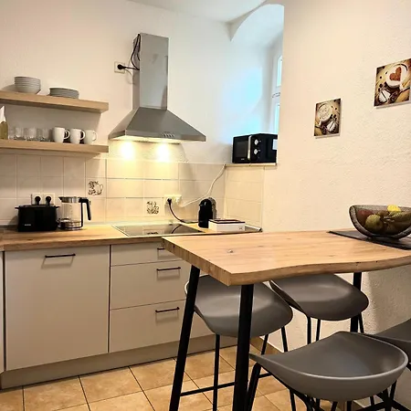 Appartement Newcityhome - - 3 Zi - Garden Flora - Urban Dresde